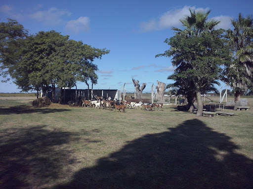 Col. San Bartolome