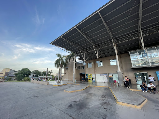 Terminal de Ómnibus
